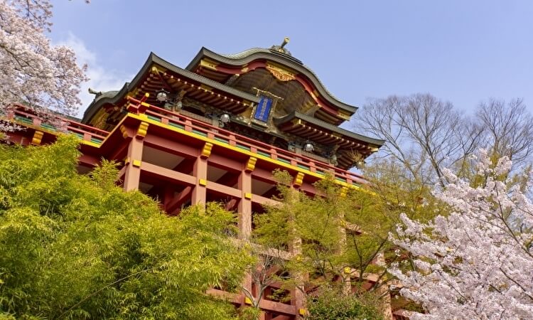 一日一組 静かな波を見つめながら過ごす古民家宿~ふるさとWish佐賀県~