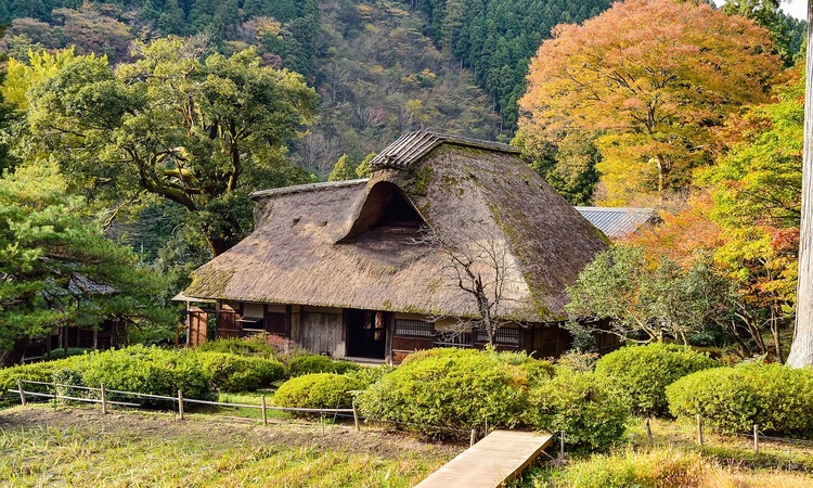 伊藤千桃さん、葉山暮らし40年。不便だからこそ生活を楽しむ工夫や知恵がいっぱい