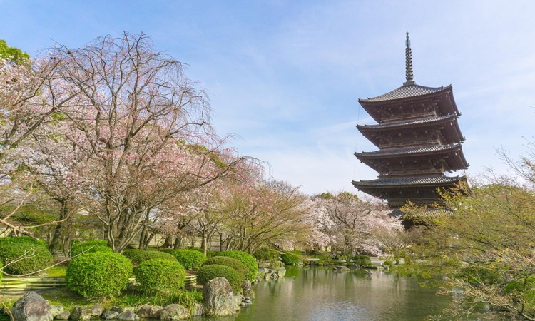 京都市が2026年度中に民泊の営業に関連する条例改正を目指すと発表！民泊の勢いは止まるところを知らない？！